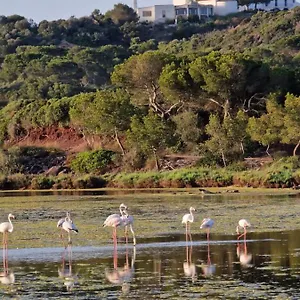 Farm stay Mongofre, Mahon (Menorca)
